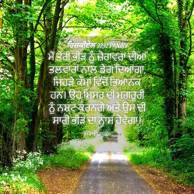 Picture 04 - ਹਿਜ਼ਕੀਏਲ 32:12 PANIRV - ਮੈਂ ਤੇਰੀ ਭੀੜ ਨੂੰ - Bible Verse Picture