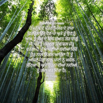 Picture 04 - ਹਿਜ਼ਕੀਏਲ 32:2 PANIRV - ਹੇ ਮਨੁੱਖ ਦੇ ਪੁੱਤਰ, - Bible Verse Picture