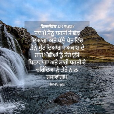 Picture 04 - ਹਿਜ਼ਕੀਏਲ 32:4 PANIRV - ਤਦ ਮੈਂ ਤੈਨੂੰ ਧਰਤੀ - Bible Verse Picture
