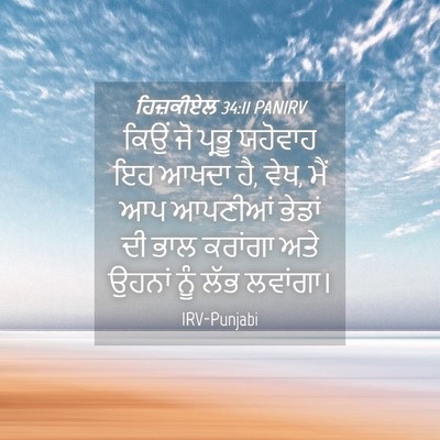 Picture 04 - ਹਿਜ਼ਕੀਏਲ 34:11 PANIRV - ਕਿਉਂ ਜੋ ਪ੍ਰਭੂ - Bible Verse Picture