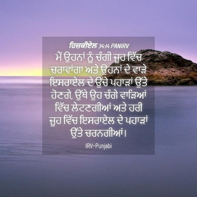 Picture 04 - ਹਿਜ਼ਕੀਏਲ 34:14 PANIRV - ਮੈਂ ਉਹਨਾਂ ਨੂੰ ਚੰਗੀ - Bible Verse Picture