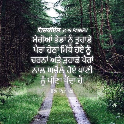 Picture 04 - ਹਿਜ਼ਕੀਏਲ 34:19 PANIRV - ਮੇਰੀਆਂ ਭੇਡਾਂ ਨੂੰ - Bible Verse Picture