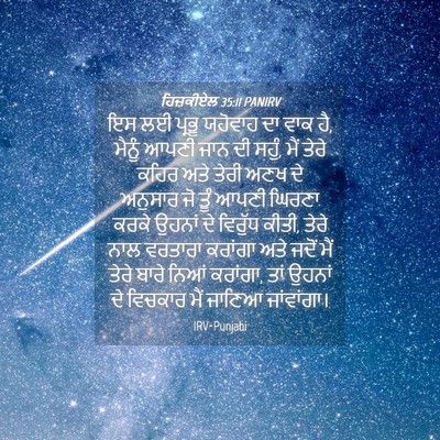Picture 04 - ਹਿਜ਼ਕੀਏਲ 35:11 PANIRV - ਇਸ ਲਈ ਪ੍ਰਭੂ ਯਹੋਵਾਹ - Bible Verse Picture