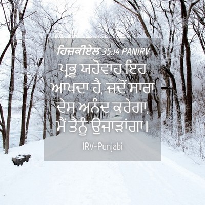Picture 04 - ਹਿਜ਼ਕੀਏਲ 35:14 PANIRV - ਪ੍ਰਭੂ ਯਹੋਵਾਹ ਇਹ - Bible Verse Picture