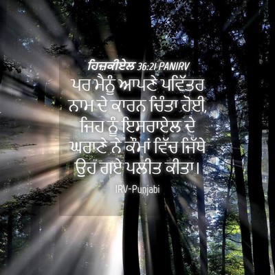 Picture 04 - ਹਿਜ਼ਕੀਏਲ 36:21 PANIRV - ਪਰ ਮੈਨੂੰ ਆਪਣੇ - Bible Verse Picture