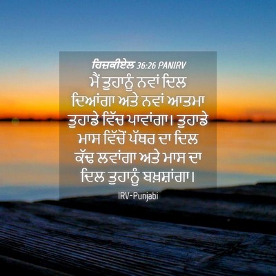 Picture 04 - ਹਿਜ਼ਕੀਏਲ 36:26 PANIRV - ਮੈਂ ਤੁਹਾਨੂੰ ਨਵਾਂ - Bible Verse Picture