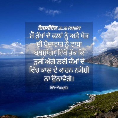 Picture 04 - ਹਿਜ਼ਕੀਏਲ 36:30 PANIRV - ਮੈਂ ਰੁੱਖਾਂ ਦੇ ਫਲਾਂ - Bible Verse Picture