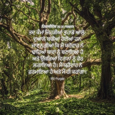 Picture 04 - ਹਿਜ਼ਕੀਏਲ 36:36 PANIRV - ਤਦ ਕੌਮਾਂ ਜਿਹੜੀਆਂ - Bible Verse Picture