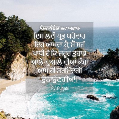 Picture 04 - ਹਿਜ਼ਕੀਏਲ 36:7 PANIRV - ਇਸ ਲਈ ਪ੍ਰਭੂ ਯਹੋਵਾਹ - Bible Verse Picture