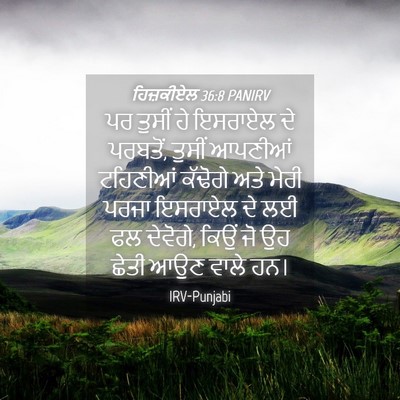 Picture 04 - ਹਿਜ਼ਕੀਏਲ 36:8 PANIRV - ਪਰ ਤੁਸੀਂ ਹੇ ਇਸਰਾਏਲ - Bible Verse Picture
