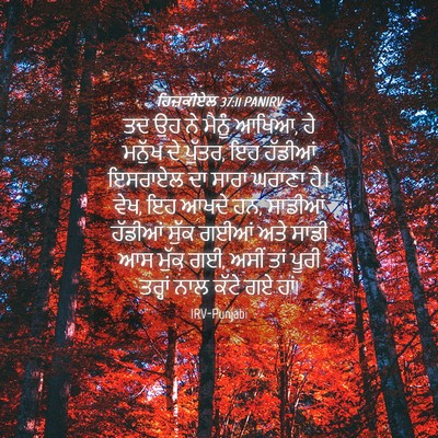 Picture 04 - ਹਿਜ਼ਕੀਏਲ 37:11 PANIRV - ਤਦ ਉਹ ਨੇ ਮੈਨੂੰ - Bible Verse Picture