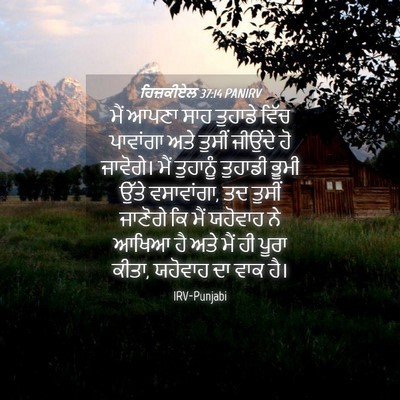 Picture 04 - ਹਿਜ਼ਕੀਏਲ 37:14 PANIRV - ਮੈਂ ਆਪਣਾ ਸਾਹ - Bible Verse Picture