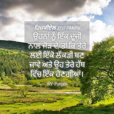 Picture 04 - ਹਿਜ਼ਕੀਏਲ 37:17 PANIRV - ਉਹਨਾਂ ਨੂੰ ਇੱਕ ਦੂਜੀ - Bible Verse Picture