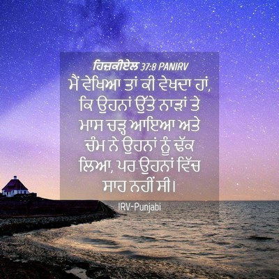 Picture 04 - ਹਿਜ਼ਕੀਏਲ 37:8 PANIRV - ਮੈਂ ਵੇਖਿਆ ਤਾਂ ਕੀ - Bible Verse Picture