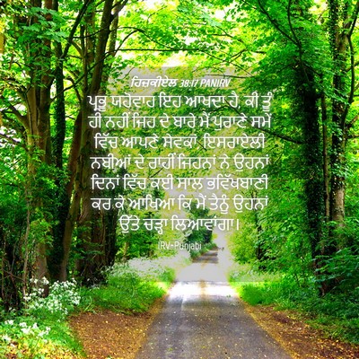Picture 04 - ਹਿਜ਼ਕੀਏਲ 38:17 PANIRV - ਪ੍ਰਭੂ ਯਹੋਵਾਹ ਇਹ - Bible Verse Picture