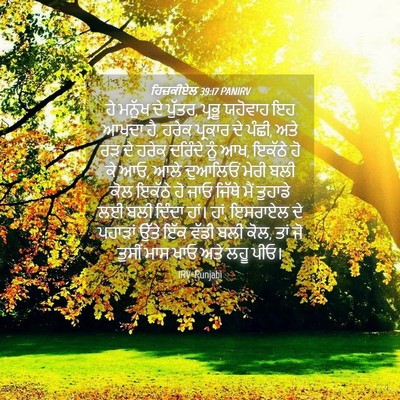 Picture 04 - ਹਿਜ਼ਕੀਏਲ 39:17 PANIRV - ਹੇ ਮਨੁੱਖ ਦੇ ਪੁੱਤਰ, - Bible Verse Picture