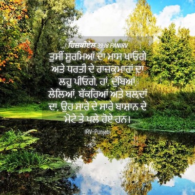 Picture 04 - ਹਿਜ਼ਕੀਏਲ 39:18 PANIRV - ਤੁਸੀਂ ਸੂਰਮਿਆਂ ਦਾ - Bible Verse Picture