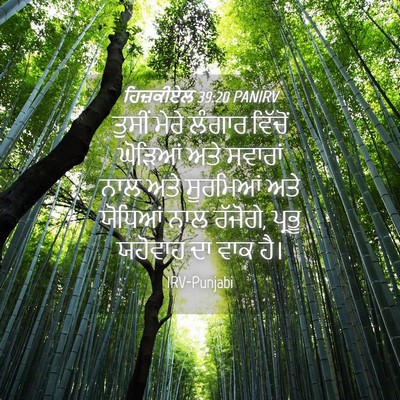Picture 04 - ਹਿਜ਼ਕੀਏਲ 39:20 PANIRV - ਤੁਸੀਂ ਮੇਰੇ ਲੰਗਾਰ - Bible Verse Picture