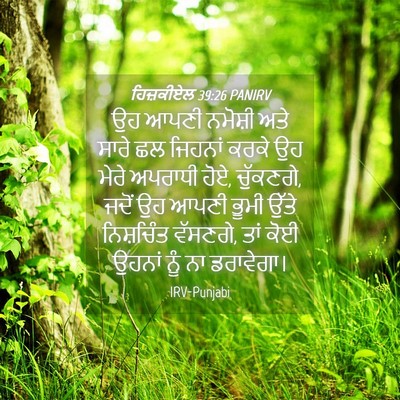 Picture 04 - ਹਿਜ਼ਕੀਏਲ 39:26 PANIRV - ਉਹ ਆਪਣੀ ਨਮੋਸ਼ੀ ਅਤੇ - Bible Verse Picture