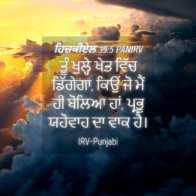 Picture 04 - ਹਿਜ਼ਕੀਏਲ 39:5 PANIRV - ਤੂੰ ਖੁਲ੍ਹੇ ਖੇਤ - Bible Verse Picture