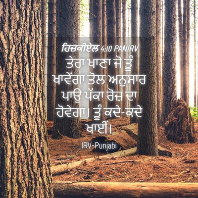 Picture 04 - ਹਿਜ਼ਕੀਏਲ 4:10 PANIRV - ਤੇਰਾ ਖਾਣਾ ਜੋ ਤੂੰ - Bible Verse Picture