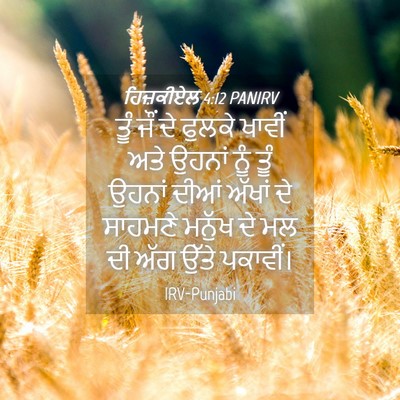 Picture 04 - ਹਿਜ਼ਕੀਏਲ 4:12 PANIRV - ਤੂੰ ਜੌਂ ਦੇ ਫੁਲਕੇ - Bible Verse Picture