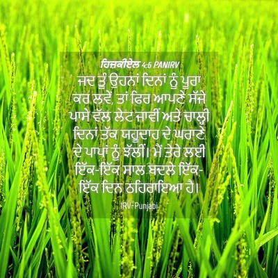 Picture 04 - ਹਿਜ਼ਕੀਏਲ 4:6 PANIRV - ਜਦ ਤੂੰ ਉਹਨਾਂ ਦਿਨਾਂ - Bible Verse Picture