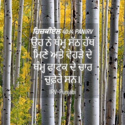 Picture 04 - ਹਿਜ਼ਕੀਏਲ 40:14 PANIRV - ਉਹ ਨੇ ਥੰਮ੍ਹ ਸੱਠ ਹੱਥ - Bible Verse Picture