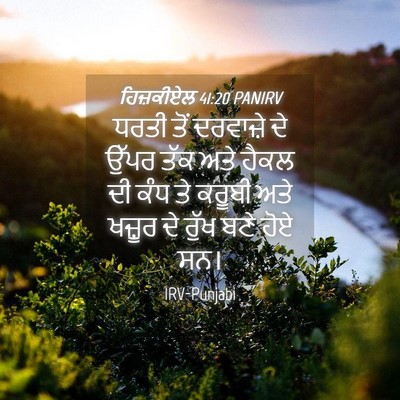 Picture 04 - ਹਿਜ਼ਕੀਏਲ 41:20 PANIRV - ਧਰਤੀ ਤੋਂ ਦਰਵਾਜ਼ੇ - Bible Verse Picture