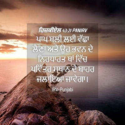Picture 04 - ਹਿਜ਼ਕੀਏਲ 43:21 PANIRV - ਪਾਪ ਬਲੀ ਲਈ ਵੱਛਾ - Bible Verse Picture