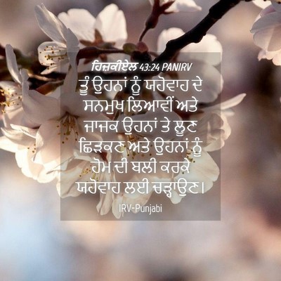 Picture 04 - ਹਿਜ਼ਕੀਏਲ 43:24 PANIRV - ਤੂੰ ਉਹਨਾਂ ਨੂੰ - Bible Verse Picture