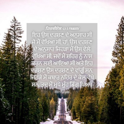 Picture 04 - ਹਿਜ਼ਕੀਏਲ 43:3 PANIRV - ਇਹ ਉਸ ਦਰਸ਼ਣ ਦੇ - Bible Verse Picture