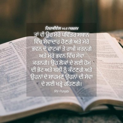 Picture 04 - ਹਿਜ਼ਕੀਏਲ 44:11 PANIRV - ਤਾਂ ਵੀ ਉਹ ਮੇਰੇ - Bible Verse Picture