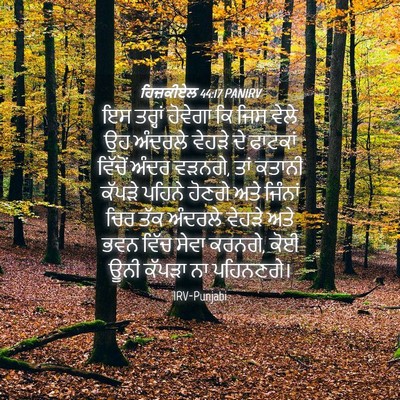 Picture 04 - ਹਿਜ਼ਕੀਏਲ 44:17 PANIRV - ਇਸ ਤਰ੍ਹਾਂ ਹੋਵੇਗਾ - Bible Verse Picture