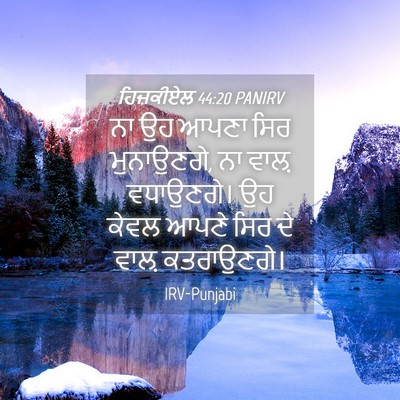 Picture 04 - ਹਿਜ਼ਕੀਏਲ 44:20 PANIRV - ਨਾ ਉਹ ਆਪਣਾ ਸਿਰ - Bible Verse Picture