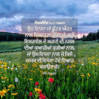 Picture 04 - ਹਿਜ਼ਕੀਏਲ 44:22 PANIRV - ਉਹ ਵਿਧਵਾ ਜਾਂ ਛੁੱਟੜ - Bible Verse Picture