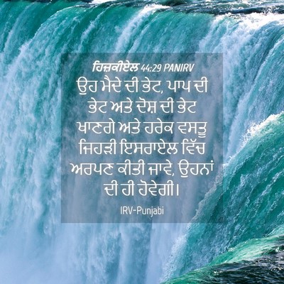 Picture 04 - ਹਿਜ਼ਕੀਏਲ 44:29 PANIRV - ਉਹ ਮੈਦੇ ਦੀ ਭੇਟ, ਪਾਪ - Bible Verse Picture