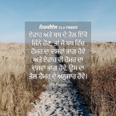 Picture 04 - ਹਿਜ਼ਕੀਏਲ 45:11 PANIRV - ਏਫਾਹ ਅਤੇ ਬਥ ਦੇ ਤੋਲ - Bible Verse Picture