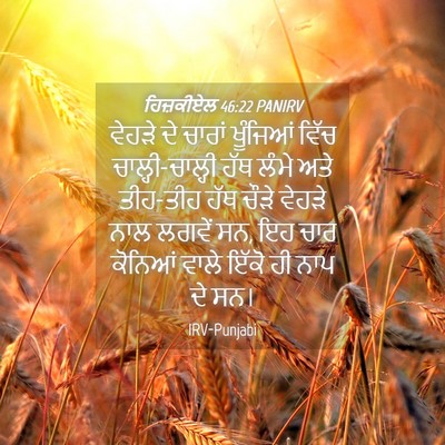 Picture 04 - ਹਿਜ਼ਕੀਏਲ 46:22 PANIRV - ਵੇਹੜੇ ਦੇ ਚਾਰਾਂ - Bible Verse Picture
