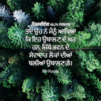 Picture 04 - ਹਿਜ਼ਕੀਏਲ 46:24 PANIRV - ਤਦ ਉਹ ਨੇ ਮੈਨੂੰ ਆਖਿਆ - Bible Verse Picture