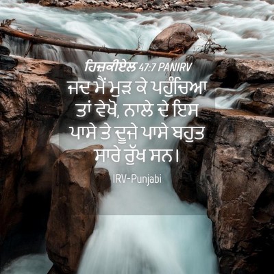 Picture 04 - ਹਿਜ਼ਕੀਏਲ 47:7 PANIRV - ਜਦ ਮੈਂ ਮੁੜ ਕੇ - Bible Verse Picture