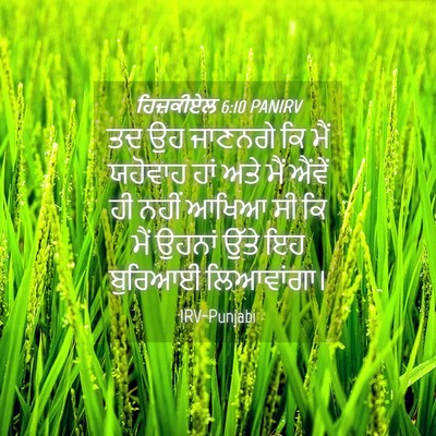 Picture 04 - ਹਿਜ਼ਕੀਏਲ 6:10 PANIRV - ਤਦ ਉਹ ਜਾਣਨਗੇ ਕਿ ਮੈਂ - Bible Verse Picture