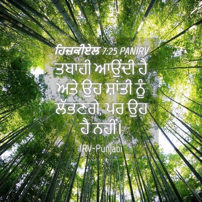 Picture 04 - ਹਿਜ਼ਕੀਏਲ 7:25 PANIRV - ਤਬਾਹੀ ਆਉਂਦੀ ਹੈ ਅਤੇ - Bible Verse Picture
