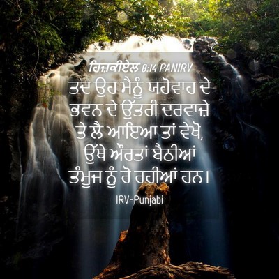 Picture 04 - ਹਿਜ਼ਕੀਏਲ 8:14 PANIRV - ਤਦ ਉਹ ਮੈਨੂੰ ਯਹੋਵਾਹ - Bible Verse Picture