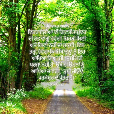 Picture 04 - ਹੋਸ਼ੇਆ 1:10 PANIRV - ਇਸਰਾਏਲੀਆਂ ਦੀ - Bible Verse Picture