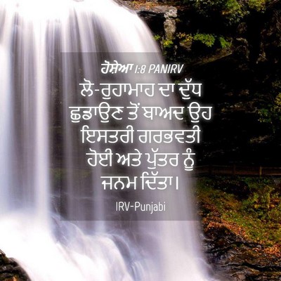 Picture 04 - ਹੋਸ਼ੇਆ 1:8 PANIRV - ਲੋ-ਰੁਹਾਮਾਹ ਦਾ ਦੁੱਧ - Bible Verse Picture