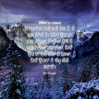 Picture 04 - ਹੋਸ਼ੇਆ 10:1 PANIRV - ਇਸਰਾਏਲ ਹਰੀ ਭਰੀ ਵੇਲ - Bible Verse Picture