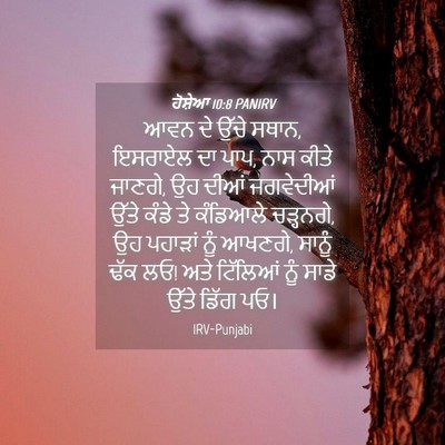 Picture 04 - ਹੋਸ਼ੇਆ 10:8 PANIRV - ਆਵਨ ਦੇ ਉੱਚੇ ਸਥਾਨ, - Bible Verse Picture