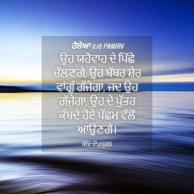 Picture 04 - ਹੋਸ਼ੇਆ 11:10 PANIRV - ਉਹ ਯਹੋਵਾਹ ਦੇ ਪਿੱਛੇ - Bible Verse Picture
