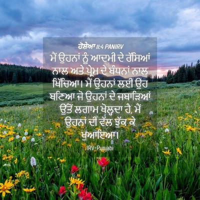 Picture 04 - ਹੋਸ਼ੇਆ 11:4 PANIRV - ਮੈਂ ਉਹਨਾਂ ਨੂੰ ਆਦਮੀ - Bible Verse Picture